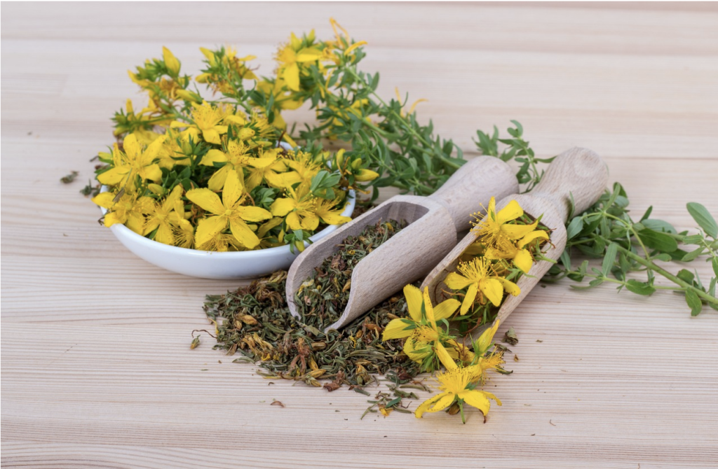 Saint John's Wort