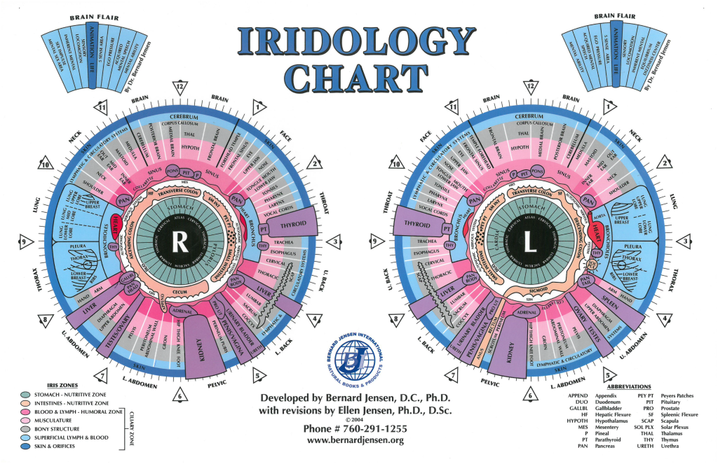 Iris Diagnosis