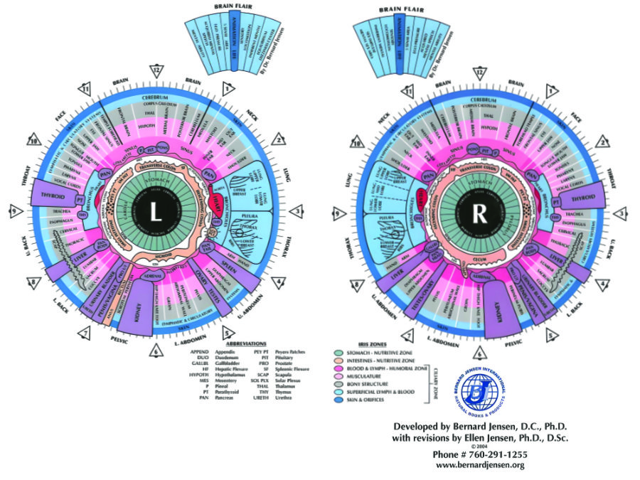 Naturopathic eye diagnosis