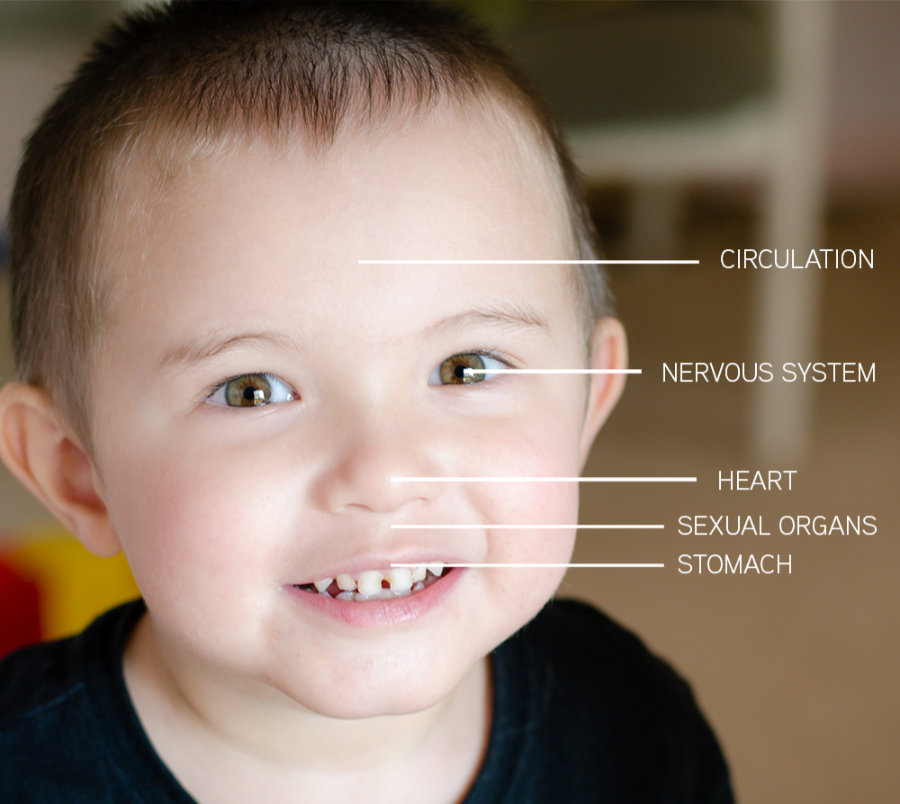 naturopathic facial diagnosis