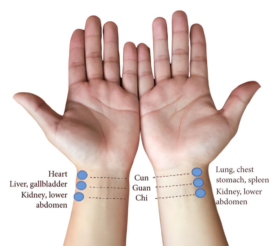 Naturopathic pulse diagnosis